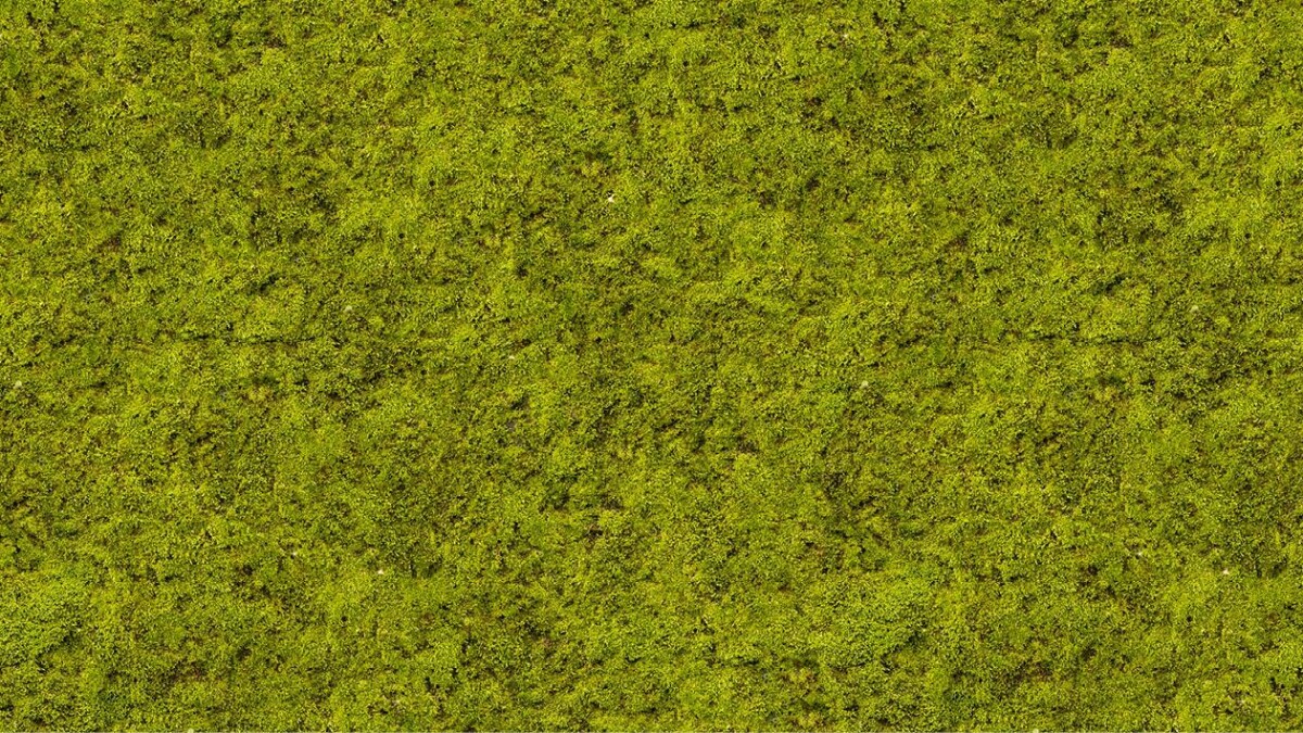 Mossy Blanket